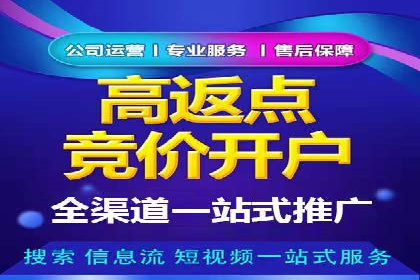 解析SEM托管公司经典案例：如何制定有效的广告策略