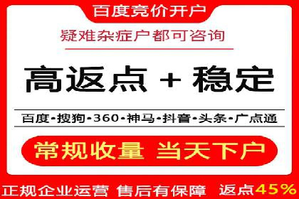 某某SEM团队成功提升网站流量与转化率的实战经验